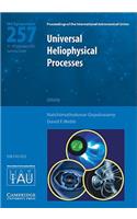 Universal Heliophysical Processes
