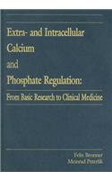 Extra- And Intracellular Calcium and Phosphate Regulation