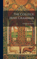 College Irish Grammar