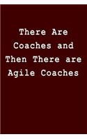 There Are Coaches and Then There Are Agile Coaches