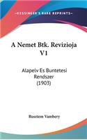 A Nemet Btk. Revizioja V1