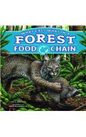 What Eats What in a Forest Food Chain