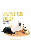 Mister Bud Wears the Cone