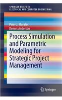 Process Simulation and Parametric Modeling for Strategic Project Management