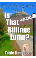 Is That Billinge Lump