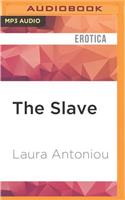 Slave