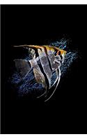 Angelfish Notebook