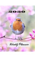 Weekly Planner 2020: Pretty Bird Design cover on a Daily, Weekly & Monthly Planner Organizer - Daily & Weekly Calendar Schedule Views - January 2020 through December 202