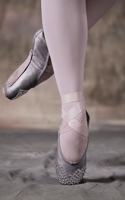 Silver Ballet Shoes Journal