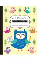 Owls Primary Notebook: Story Journal Primary Composition Notebook for kids to learn writing and to illustrate their own stories, K-2, 120 Pages(1 Anna's Notebooks)