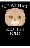 Life with My Scottish Fold
