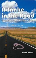 A Snake in the Road