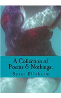 Collection of Poems & Nothings.: A Collection Of Poems, Nothings, and Short Stories. Mix Matched with Illustrations.