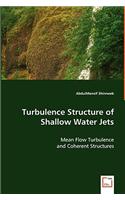 Turbulence Structure of Shallow Water Jets