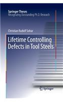 Lifetime Controlling Defects in Tool Steels