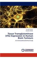 Tissue Transglutaminase (tTG) Expression in Human Brain Tumours