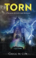 Torn: A promise of love and revenge