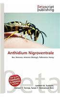 Anthidium Nigroventrale