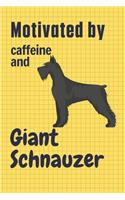 Motivated by caffeine and Giant Schnauzer