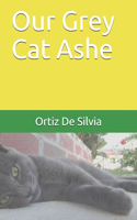 Our Grey Cat Ashe