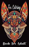 Fox Coloring Book For Adult