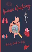 Human Anatomy