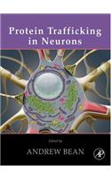 Protein Trafficking in Neurons