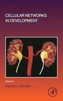 Cellular Networks in Development: Volume 143