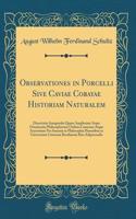 Observationes in Porcelli Sive Caviae Cobayae Historiam Naturalem: Dissertatio Inauguralis Quam Amplissimi Atque Ornatissimi Philosophorum Ordinis Consensu Atque Auctoritate Pro Summis in Philosophia Honoribus in Universitate Litteraria Berolinensi