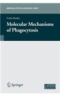 Molecular Mechanisms of Phagocytosis