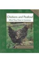 Chickens and Peafowl