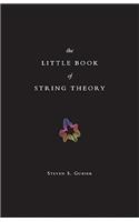 The Little Book of String Theory: (Science Essentials)