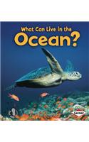 What Can Live in the Ocean?