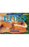 See-through Reptiles