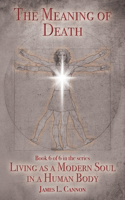 Meaning of Death: Understanding Death, Experiencing Death and Dying Well