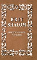 Brit Shalom: Praktische Anwendung FÜR NOAHIDES