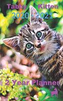 Tabby Kitten 2020 - 2021 2 Year Planner