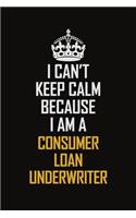 I Can't Keep Calm Because I Am A Consumer Loan Underwriter