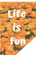Life is Fun