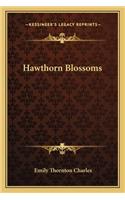 Hawthorn Blossoms