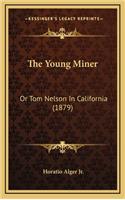 The Young Miner: Or Tom Nelson in California (1879)