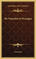 The Naturalist In Nicaragua
