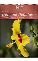 Delicate Beauties - Hibiscus Flowers in Magnificent Colors 2017: Delicate Hibiscus Flowers in Soft Colors(Calvendo Nature)