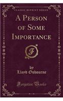 A Person of Some Importance (Classic Reprint)