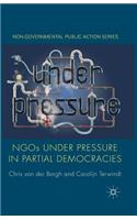 NGOs Under Pressure in Partial Democracies