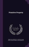 Primitive Property