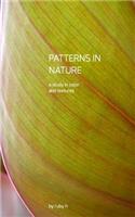 Patterns in Nature: a study in color and texture