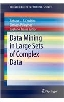 Data Mining in Large Sets of Complex Data