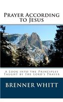 Prayer According to Jesus: A Look into the Principles Taught by the Lord's Prayer