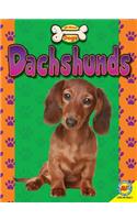 Dachshunds